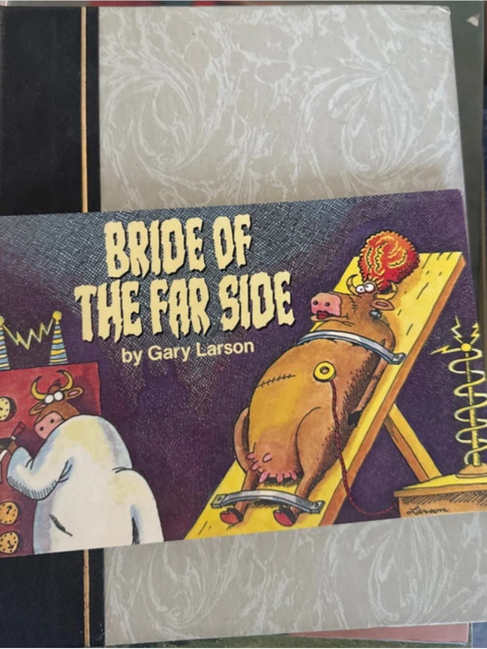 Bride Of The Far Side Book